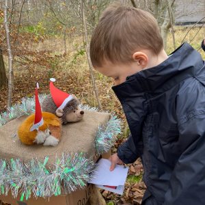 boy posting his letter to santa