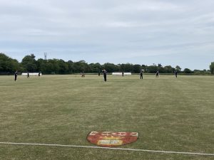 Cricket pitch 